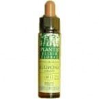 Centaurée Plantis Nº 04 10 ml