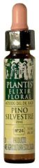 Pin Plantis Nº 24 10 ml