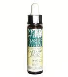 Plantis Châtaignier Rouge N°25 10 ml