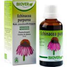 Échinacée Purpurea 50ml