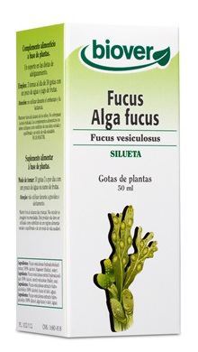 Fucus vésiculeux 50 ml