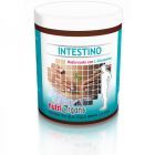 Nutriorganes de l&#39;intestin