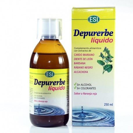 Dépurerbe Sirop 250 ml