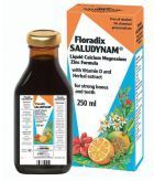 Calcium + Magnésium Saludynam 250 ml