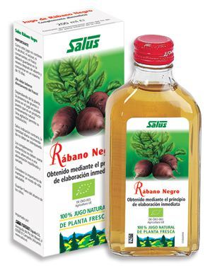 Jus de radis noir 200 millilitres Schoenenberger de plante fraîche