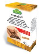 Gélules de cinnuline