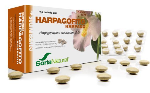 Harpagophito 60 Comprimés 600 mg