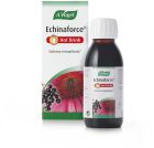 Echinaforce Boisson Chaude 100 ml