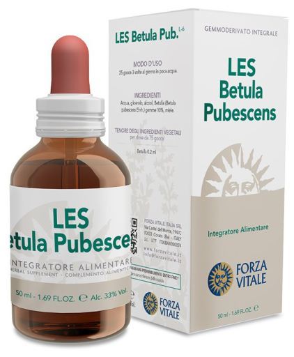 Betula Pubescens Bouleau pubescent 50 ml