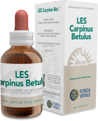 Carpinus Betulus Charme 50 ml