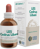 Cedrus Libani Cèdre du Liban 50 ml