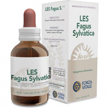 Fagus sylvatica Hêtre Les 50ml.