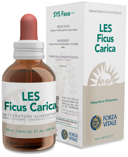 Ficus Carica Figue commune 50 ml