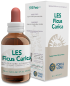 Ficus Carica Figue commune 50 ml