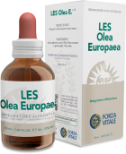 Olive Européenne 50 ml