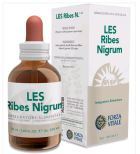 Ribes Nigrum Cassis 50 ml