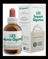 Séquoia Sempervirens 50 ml