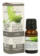 Feuilles d&#39;Huile Essentielle Cannelle Feuilles 10 ml