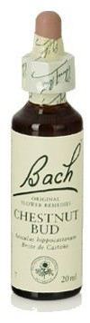 Bach 7 Chestnut Bud 20 ml