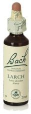 Bach 19 Larch 20 ml