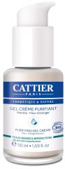 Gel Creme Purifiant