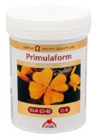 Primulaform 200 perles