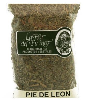 Pied de Lion 40 Gr