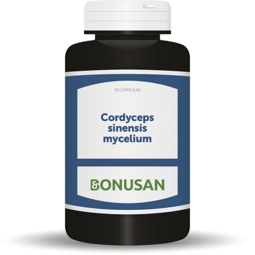 Mycélium de Cordyceps sinensis