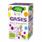 Tisane Bio Gaz Enfants 20 Filtres