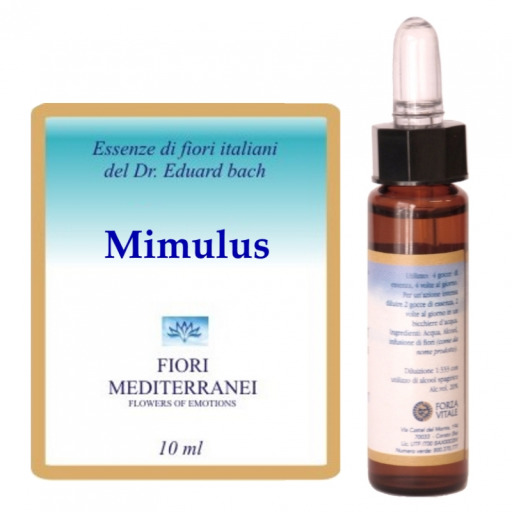 Fm 20 Mimule 10 ml