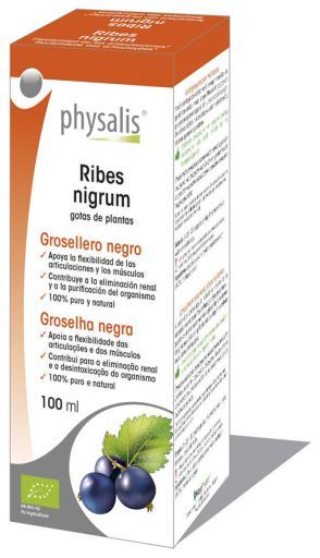 Extrait Ribes Nigrum 100Ml Bio