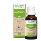 Yemoterapia Amande 50Ml Bio