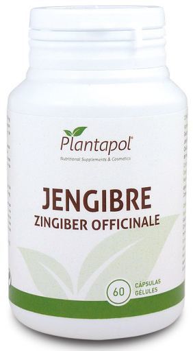 Gingembre 60 Gélules 500 mg