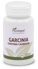 Garcinia Gamboria 60 Comprimés Éco