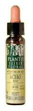 Plantis 15 Houx 10 ml