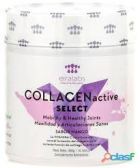 COLLAGENmobilité active et Articulations Saines Saveur Mangue 300 gr