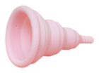 Coupe menstruelle compacte Lily Cup