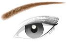 Crayon à Sourcils Brow Artist Designer 303 Deep Brown