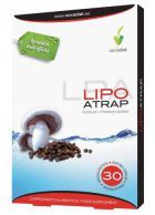 Lipoatrap 30 Gélules