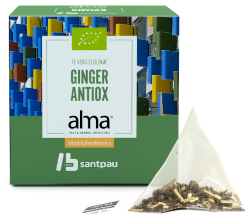 Home Green Tea Ginger 15 Sacs