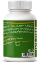 Café Vert 90 Gélules 600 mg