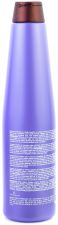 Shampoing Argent Myrtille 350 ml