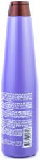 Shampoing Argent Myrtille 350 ml