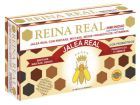 Reina Real Immunité 20 Ampoules