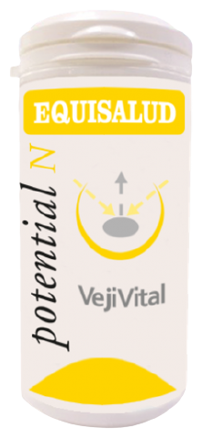 Vejivital 60 gélules