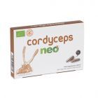 Cordyceps 60 Gélules