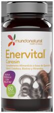 Enervital Multivitamines 60 Gélules