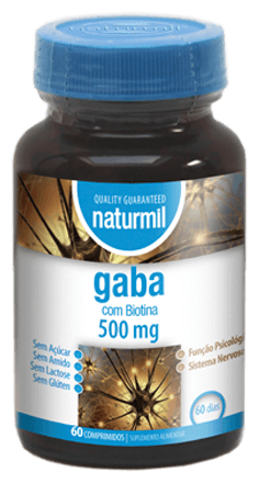 Gaba 500mg 60 Comprimés