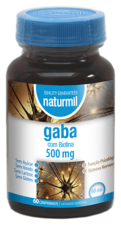 Gaba 500mg 60 Comprimés