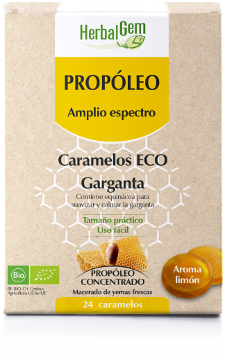 Propolis large spectre Bio 24 unités